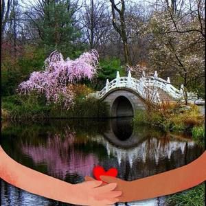 Meet your Posher, Dorjana